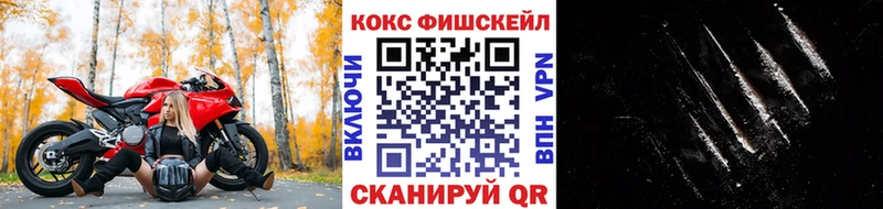КОКАИН FishScale  Купить  Лукоянов 