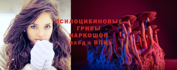крисы Баксан