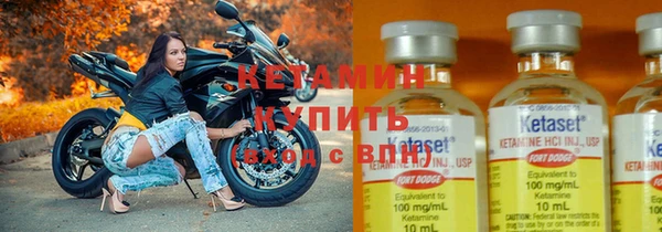 крисы Баксан