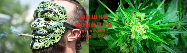 крисы Баксан